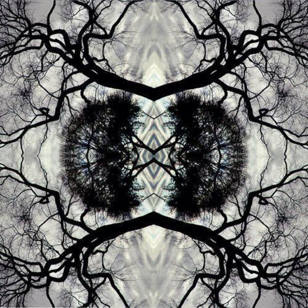 Adam Rudolph - Sonic Mandala Go: Organic Orchestra  CD